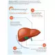 Liver Regeneration Complex Regeneracja Wątroby Sylimaryna, Karczoch, Ostropest, Berberyna (90 kaps) Aliness