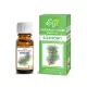 Olejek Eteryczny Sosnowy 100% Naturalny 10 ml Etja