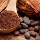 Gorzkie Kakao w Proszku Bez Dodatku Cukru Bezglutenowe 75 g Alce Nero