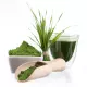 Nr 1 Chlorophyll Detox Chlorofil + Spirulina + Lucuma + Chlorella (500 ml) Lab One