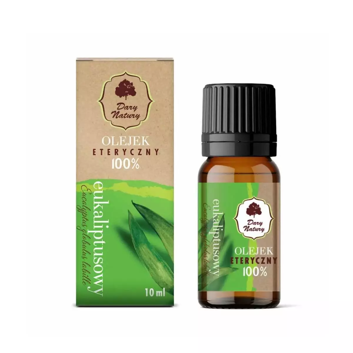 Olejek Eteryczny Eukaliptusowy 100% 10 ml Dary Natury Olejek Eteryczny Eukaliptusowy 100% 10 ml Dary Natury