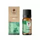 Olejek Eteryczny Miętowy 100% 10 ml Dary Natury