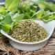 Olejek Eteryczny Oregano 100% 10 ml Dary Natury