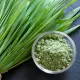 Młody Jęczmień Sok Sproszkowany Ekologiczny BIO 100 g Batom