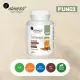 Cordyceps FUNGI Ekstrakt z Owocników Maczużnika Chińskiego 400 mg Grzyby (90 kaps) VEGE Aliness