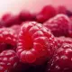 FRUIT SHOT Żel pod Prysznic z Ekstraktem z Malin i Granatu 500 ml Apis