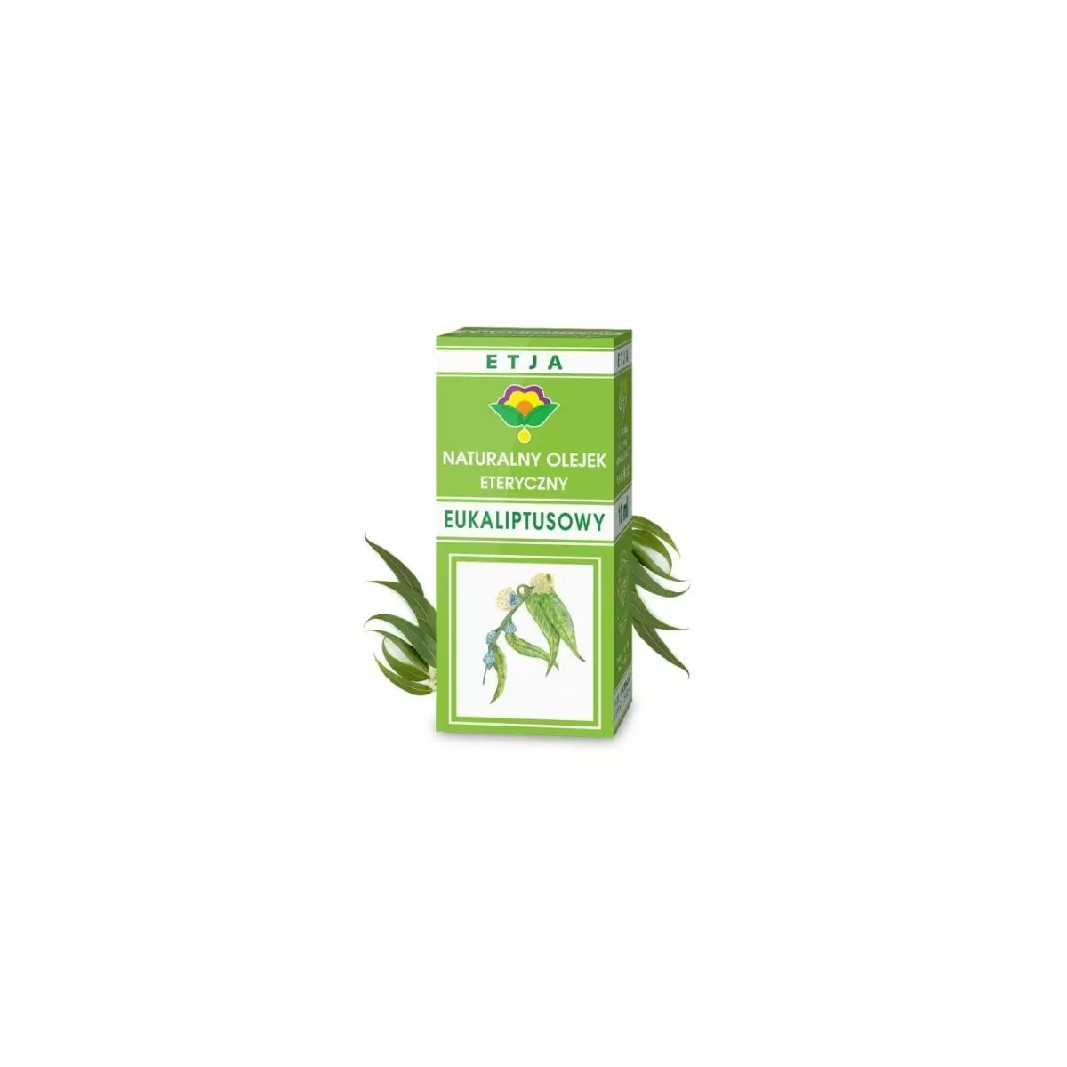 Olejek Eteryczny Eukaliptusowy 10ml ETJA Olejek Eteryczny Eukaliptusowy 10ml ETJA