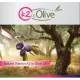 Witamina K2 + D3 (VitaMk7) 25 mcg w Kroplach 30 ml Avitale Aliness