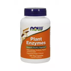 Plant Enzymes Roślinne Enzymy Trawienne (120kaps) Now Foods