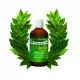 Laurosept Q73 Olejek Laurowy + Olejek Kurkumowy 100 ml Asepta