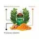 Laurosept Q73 Olejek Laurowy + Olejek Kurkumowy 100 ml Asepta