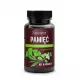 Pamięć - Bacopa Monnieri L-teanina Ginkgo biloba Forskolina (60 kaps) Skoczylas