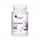 Niepokalanek 500 mg Wspiera gospodarkę hormonalną Kobiet (100 kaps) Aliness