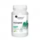 Pycnogenol 50 mg Ekstrakt z Kory sosny OPC 65% (60 tab) Aliness
