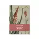 Książka Raka można wyleczyć. Siła lecznicza aloe arborescens. O. Romano Zago OFM
