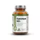 Kwercetyna 95% Ekstrakt z Perełkowca 350 mg (60 kaps) CLEAN Pharmovit