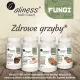 Shiitake FUNGI Ekstrakt 400 mg Zdrowe Grzyby (90 kaps) VEGE Aliness