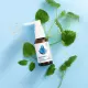 Melatonina Control + Ekstrakt z Melisy Aerozol 30 ml w Płynie Aura Herbals