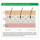 Zestaw ProSkin Elastin Complex + Hialuron Complex Trio dla pięknej skóry (2x60 kaps) Aliness