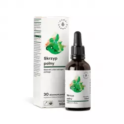 Skrzyp Polny Ekstrakt Roślinny 500 mg Krople 50 ml w Płynie Aura Herbals