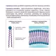 Liposomalna Witamina C 1000 Buforowana 250 ml Liposol