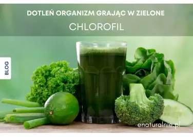 Chlorofil - Dlaczego warto pić? Poznaj jego prozdrowotne właściwości!